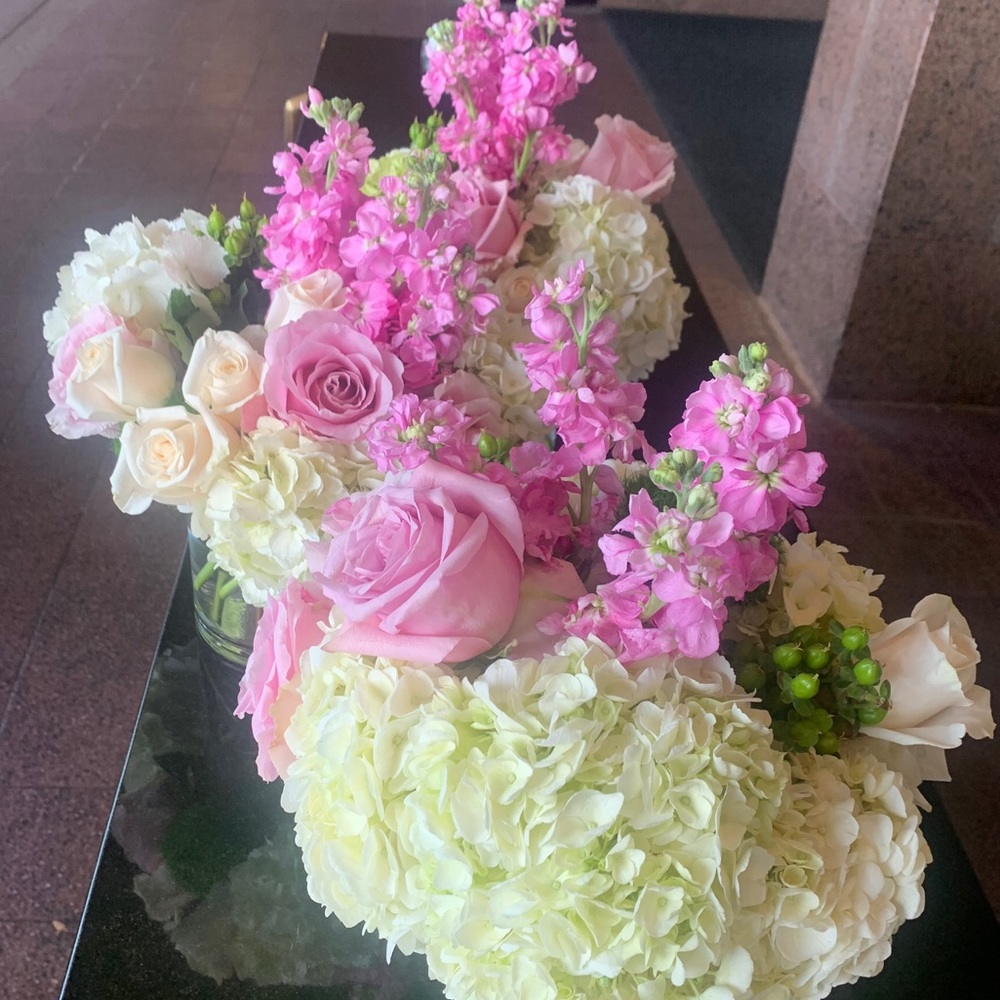 Meet your Posher, Grace